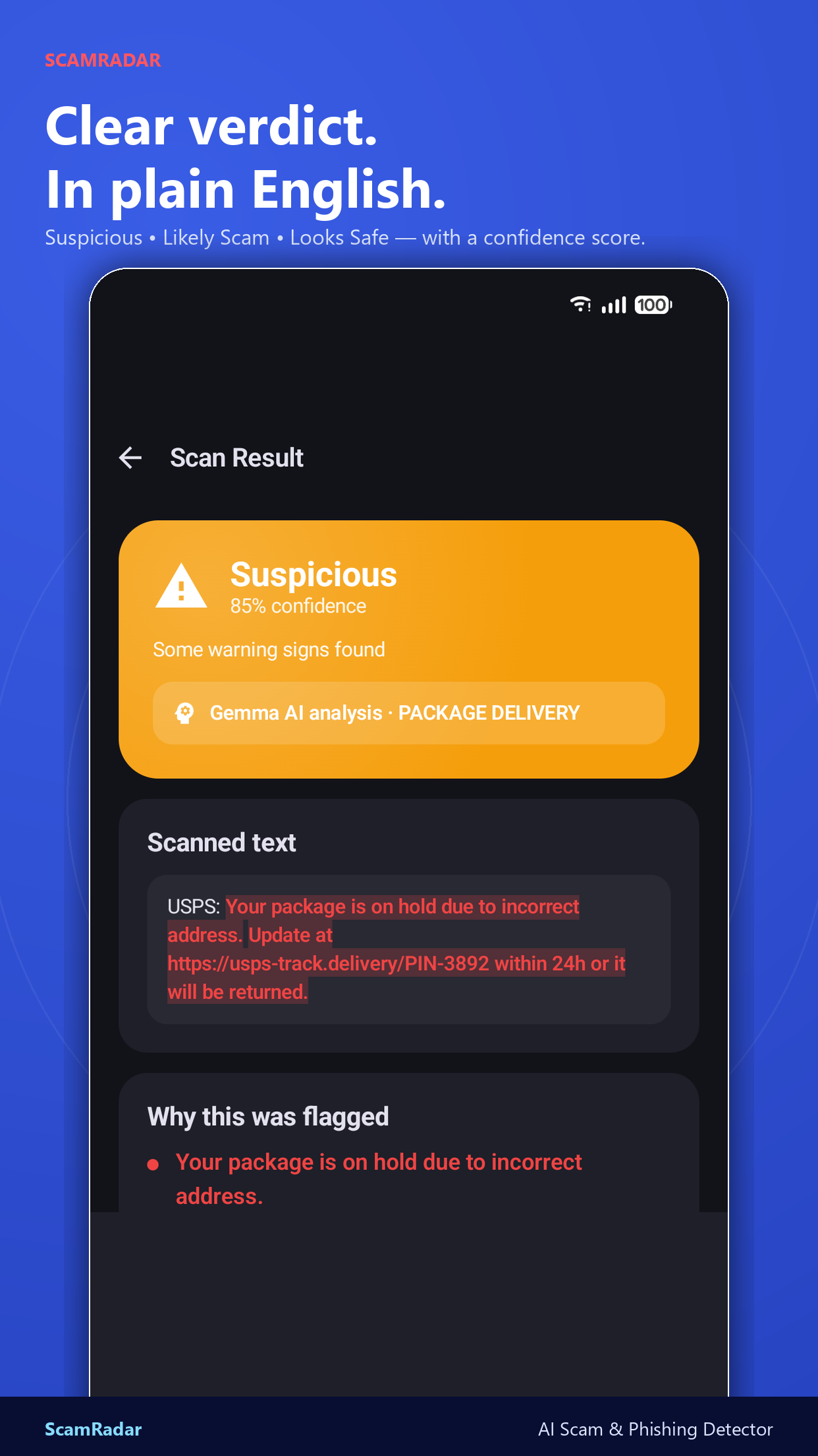 Suspicious verdict — plain English explanation
