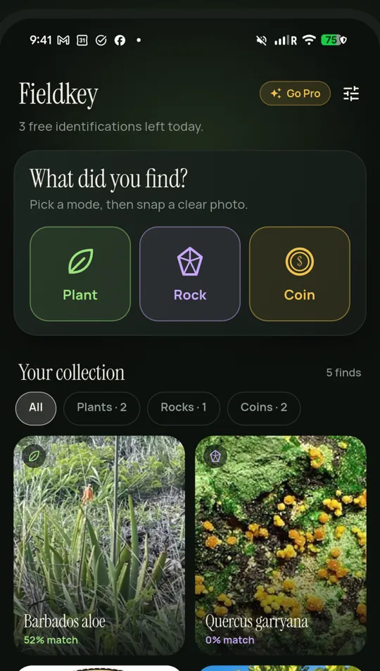 Home: pick Plant, Rock or Coin and snap a photo; your collection below