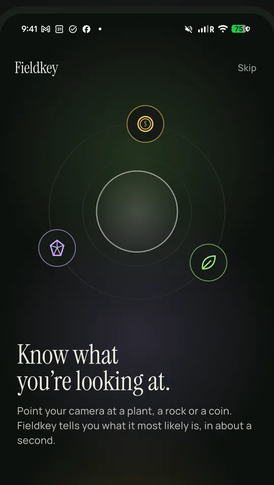 Onboarding: how the identification works on your phone