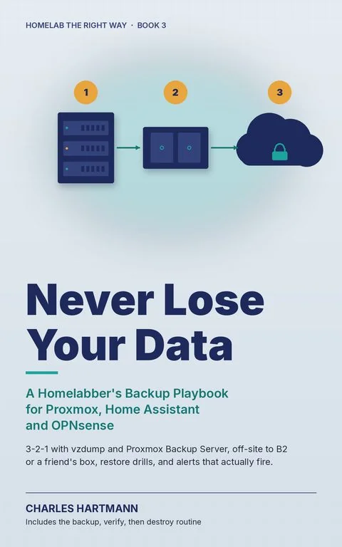 Cover of Never Lose Your Data
