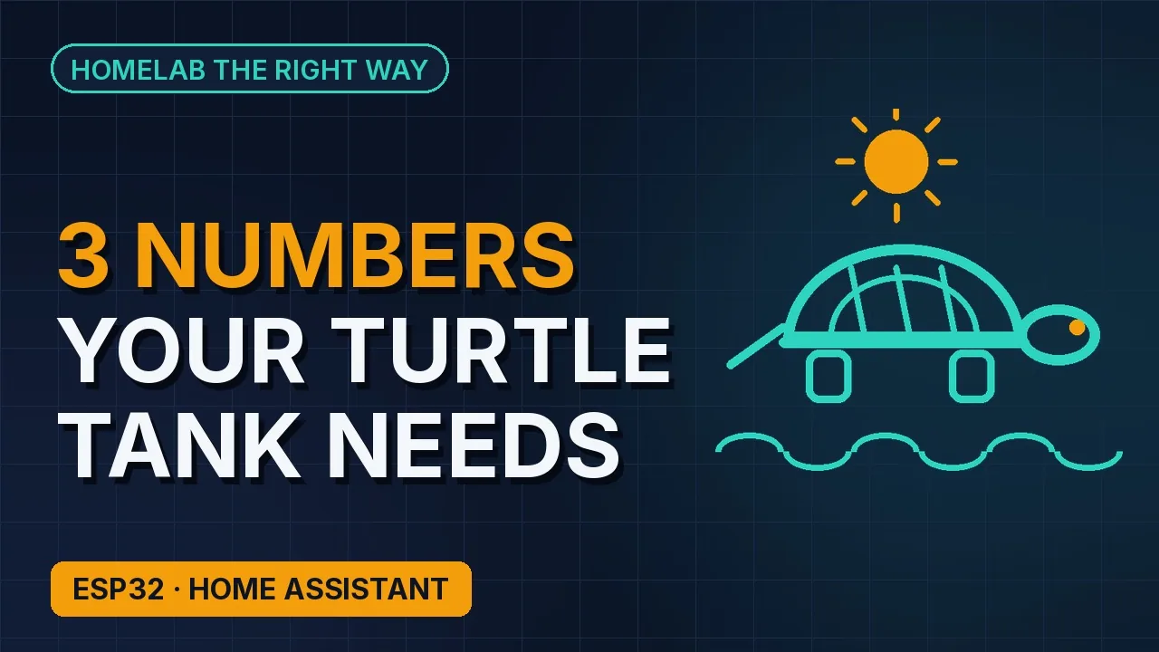 3 numbers your turtle tank has to get right