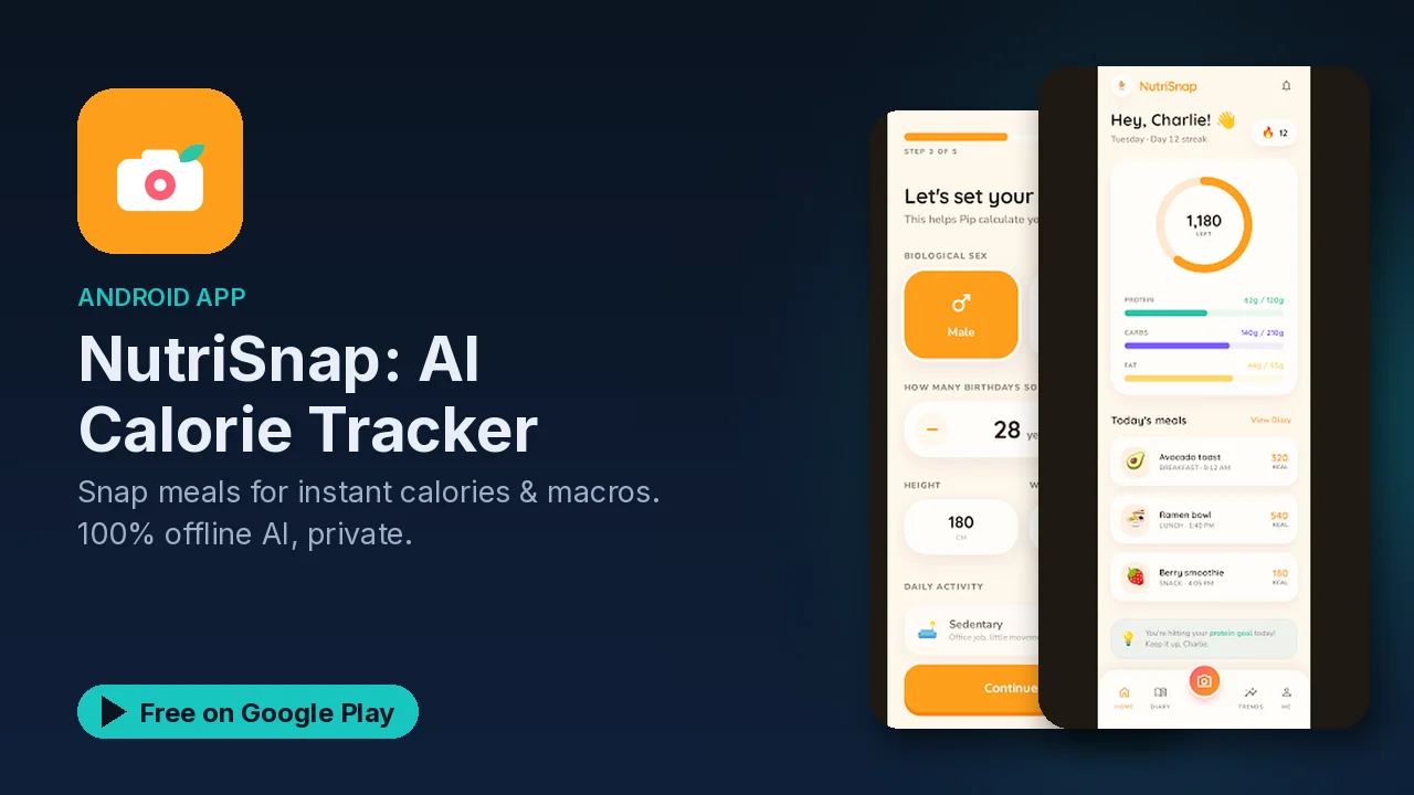 NutriSnap: a calorie tracker that scans meals with offline AI
