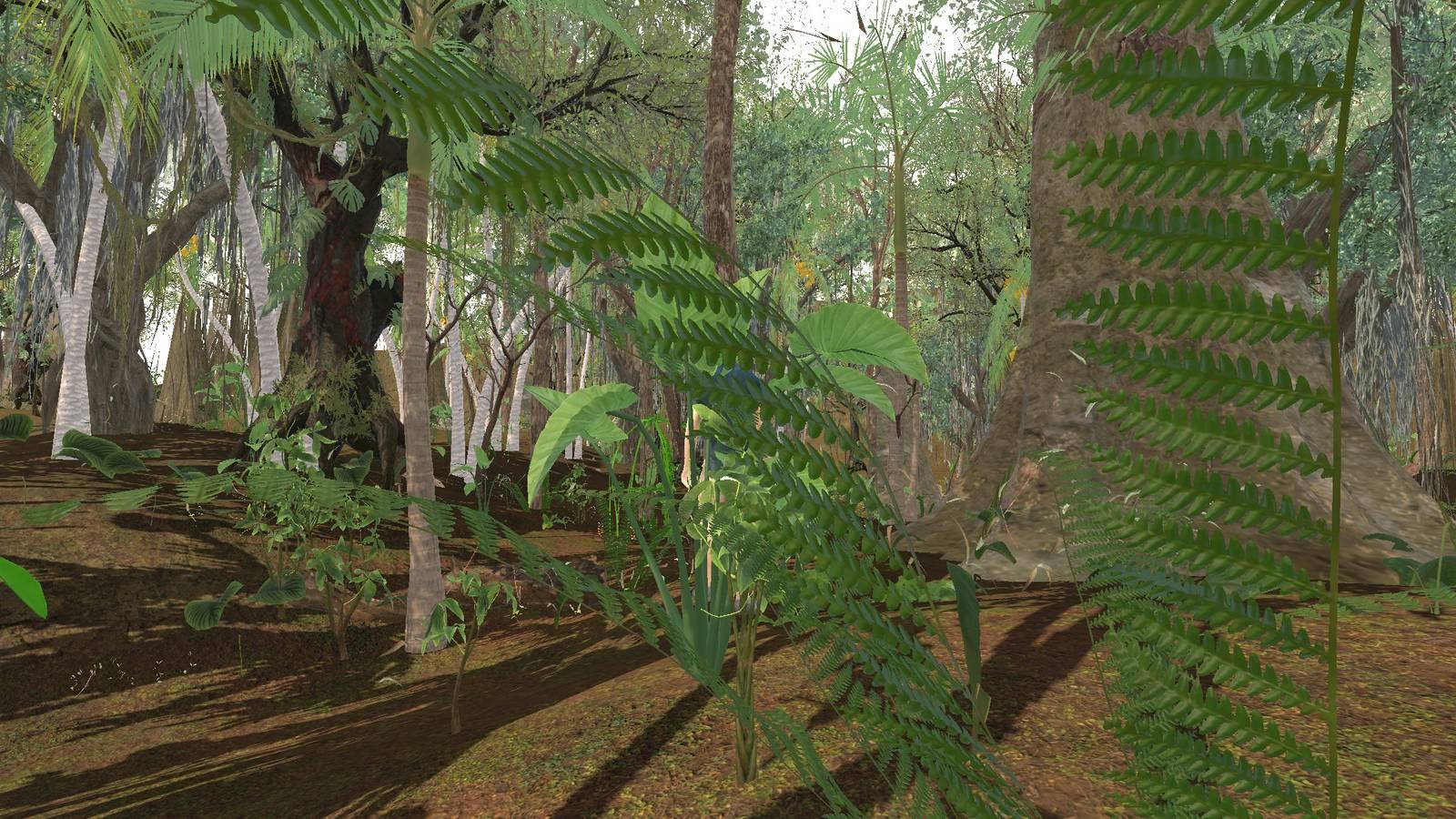Fern fronds in the foreground and a giant rainforest trunk beyond, in dappled light