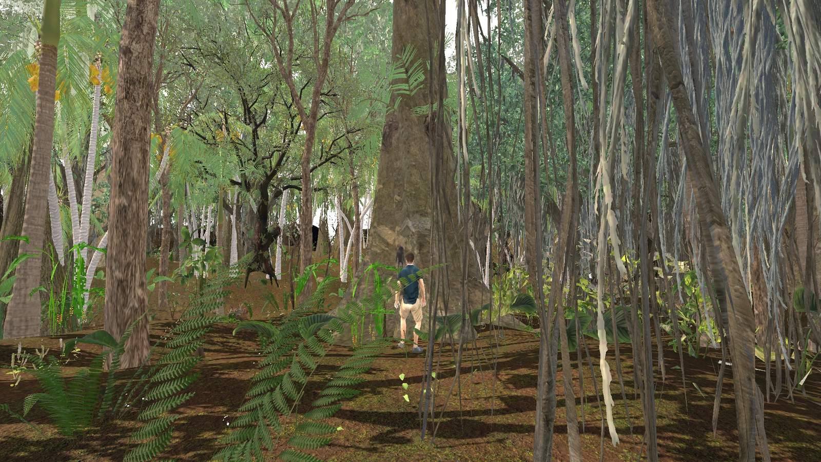 Sam walks a jungle trail under a curtain of banyan aerial roots, ferns and tall trunks all around