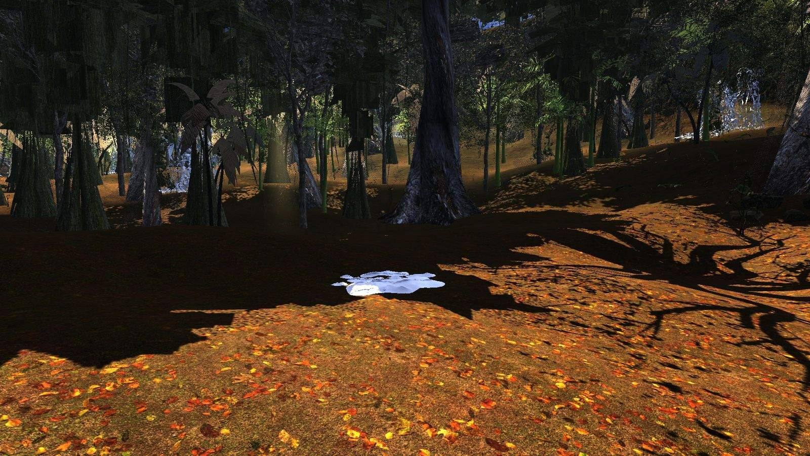 A tapir at a muddy wallow in a jungle clearing, ferns and tall trees behind